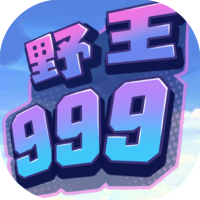 野王999
