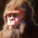 大脚怪生活/Bigfoot Life